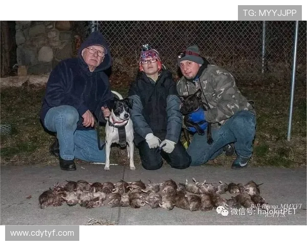 亚历克斯·摩根家的狗都吃有机牛排？